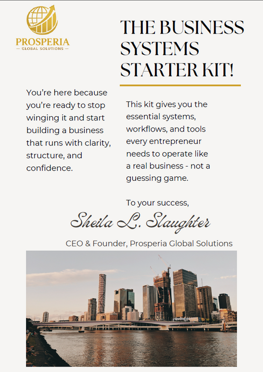 CEO's Essential Business Systems Starter Kit